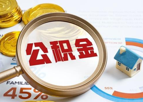 崇明2025年政策调整对个人影响综合解析